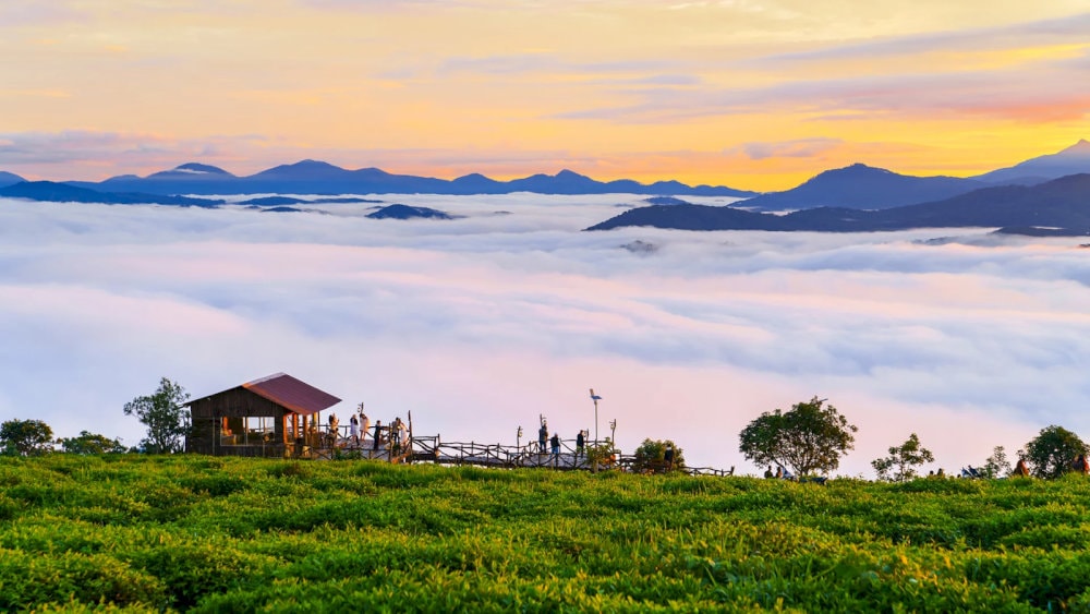 Đồi chè Cầu Đất là thiên đường săn mây với không khí se lạnh và sương mờ bao phủ đồi chè xanh ngát